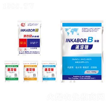 ������-Ӣ��ؐ-�W����