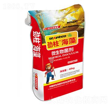 ΢�������-��������-형r�