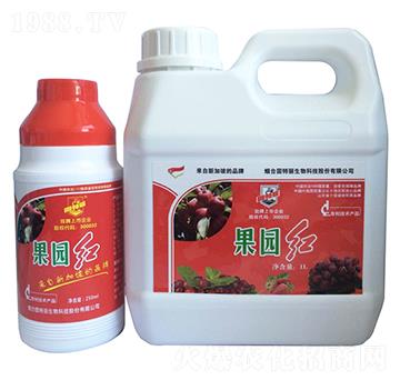 ���@�t-������