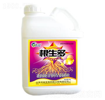 ������-ʩ����-ԣ��߿�