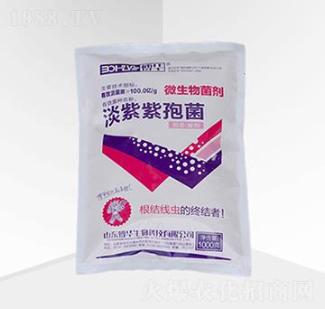 �������߾���ԭˎ��-���A����