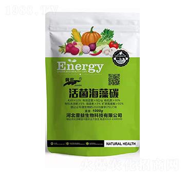 �������̼-����-Ҽ������