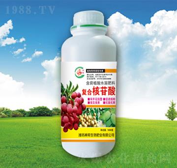 ��(f��)�Ϻ�����-�������