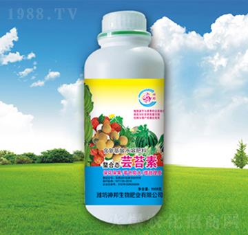 �|̦��-�������