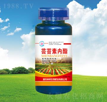 �|̦�؃�(n��i)֬-�������