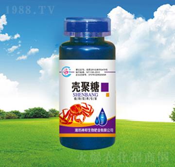 �������~���-�������