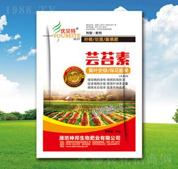 �|̦���~���-�������