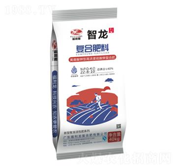 �ͺϷ���22-8-10-����-������