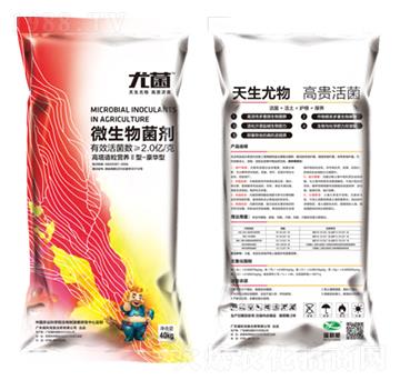 ΢�������-�Ⱦ�-������