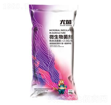 40kg΢�������-�Ⱦ�-������