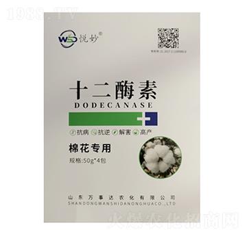 ʮ��ø�أ��޻����ã�-����-�f���_(d��)