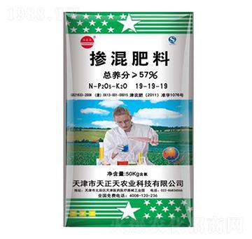 �������19-19-1