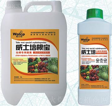 ��ʿ�����-����