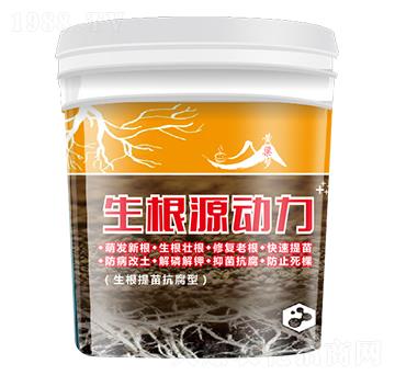 ����Դ��(d��ng)��-�S����(m��ng)-��w�r(n��ng)