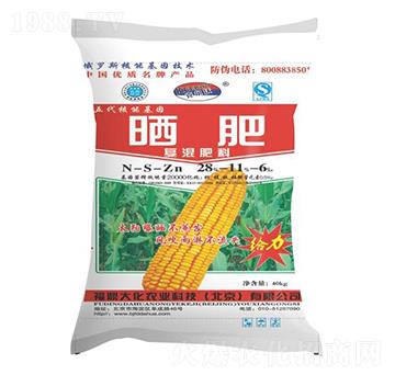 ���׌�(zhu��n)������28-11-6-������