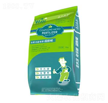 ϲ���{��A-�������