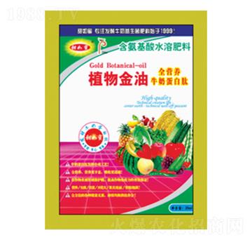 ֲ�����-������