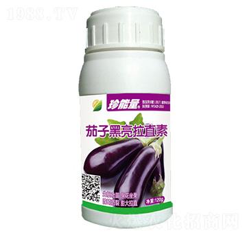 ���Ӻ�����ֱ��-���A����