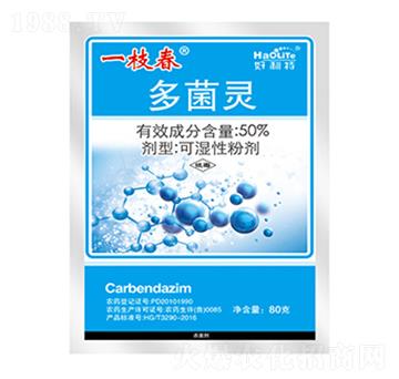 50%����`-һ֦��-����������