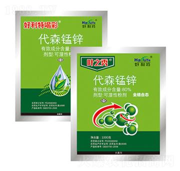 80%��ɭ�i�\-�~֮��-����������