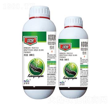 6%����ù��-�h�J-����������