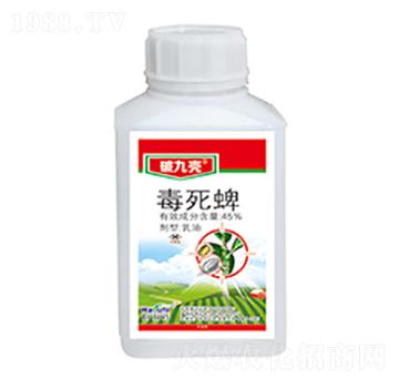 45%������-�ƾŚ�-����������