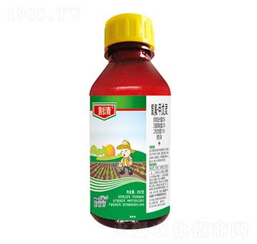 20%�����������`-����-����������