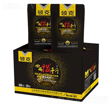 �I���ăɓ�ǧ��-(li��n)��(chu��ng)�r�I(y��)