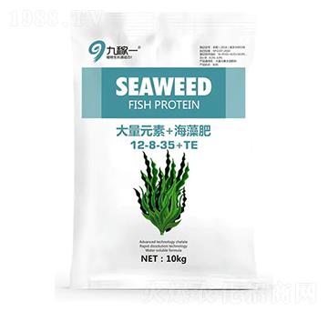 ����Ԫ��+�����12-8-35+TE-�ż�һ