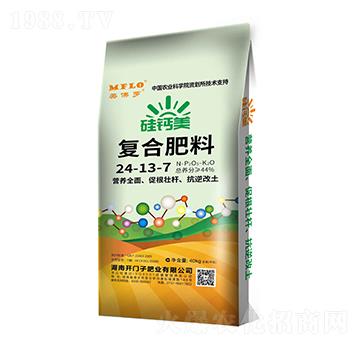 ���}���ͺϷ���24-12-7-�����_-�_�T��