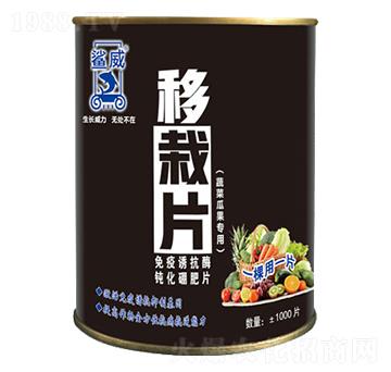 ����Ƭ-�Y��Դ�r(n��ng)�I(y��)