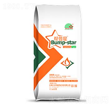 ׷ʩ�������ЙC(j��)��-������-ϣ���r(n��ng)�I(y��)