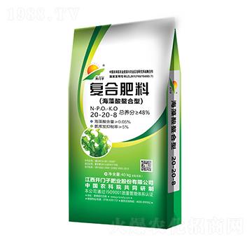 �������(f��)�Ϸ���20-20-8-�_�T��