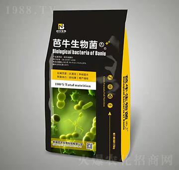 ��ţ�����-��ţ����