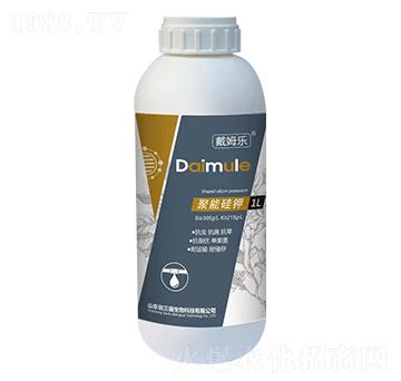 ���ܹ��-��ķ��-��������