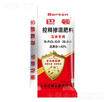 ���׌��ÿ�ጓ������2