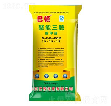 ��������19-19-1