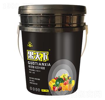 ������-��p�p-�������