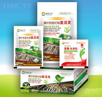 �S�~���砀���ͻ��`-�ĺ��R�r(n��ng)