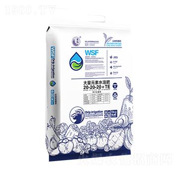 5kg����Ԫ��ˮ�ܷ�20-20-20+TE-�h�󱊵�