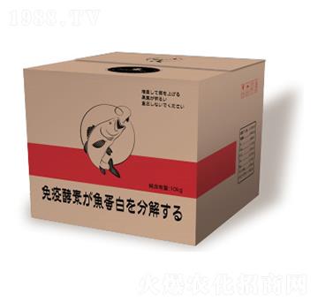 ø���~(y��)����-��һ�Z����