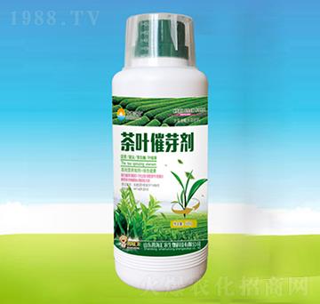 1000g���~��ѿ��-�ĺ��R�r