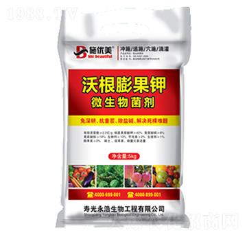 ΢�������-�ָ�����