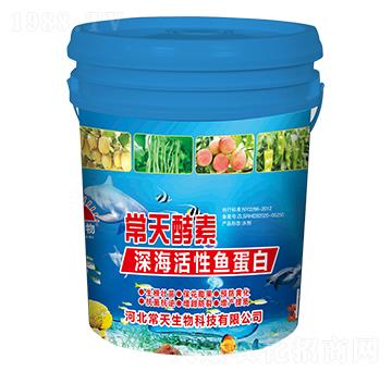 ������~����-�������-��������