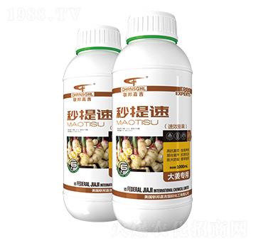 �󽪌�����Ч�����-������-(li��n)��μ�