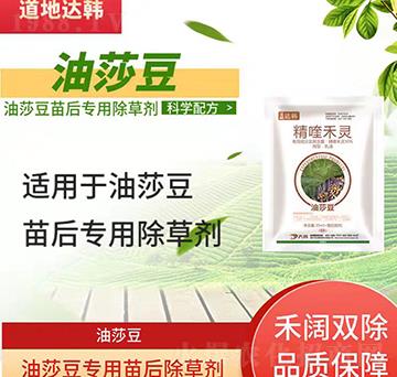 ��ɯ�����݄�-��ɯ�����-��ɯ������-���n