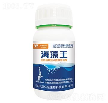 �����������ڼ�(j��)ԭ�Ϲ���(y��ng)�̣�-�֠���(y��u)