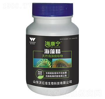 ���徫-�֠���(y��u)