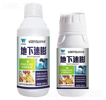 ��������-�֠���(y��u)