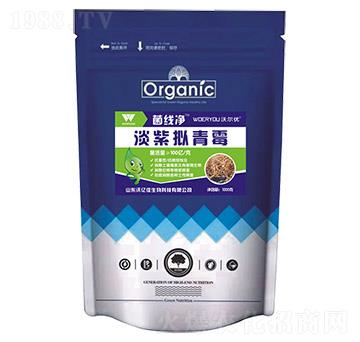 ���ϔM��ù-������-�֠���(y��u)